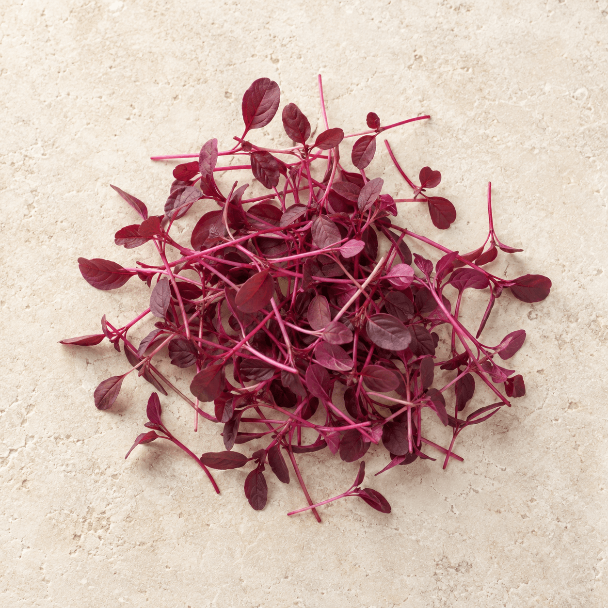 Amaranth microgreens
