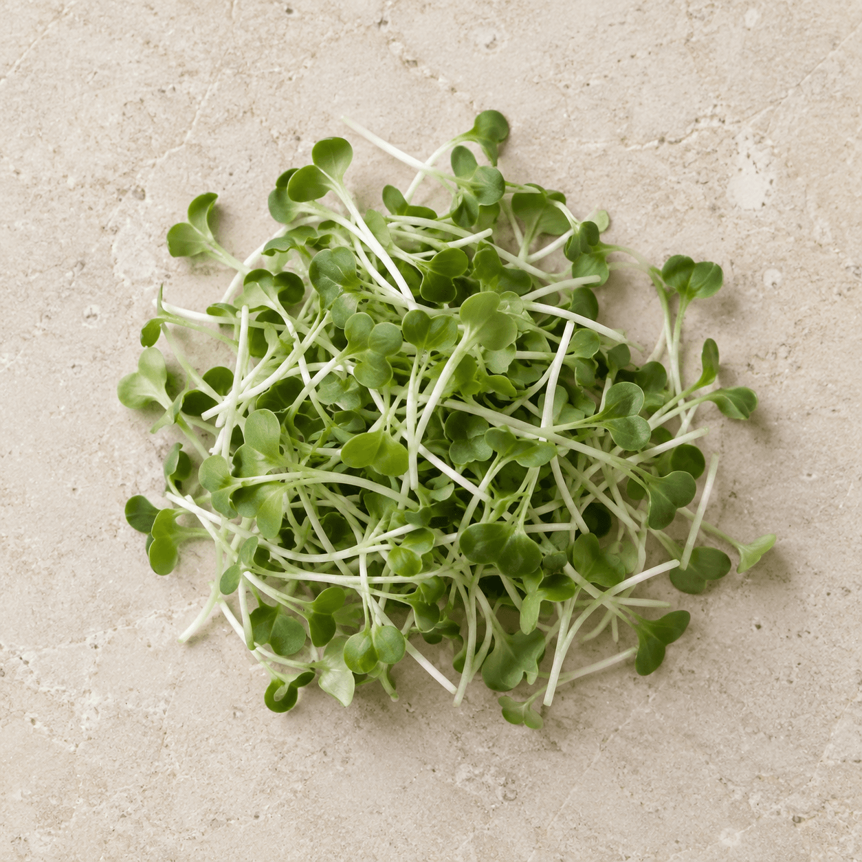 Broccoli microgreens
