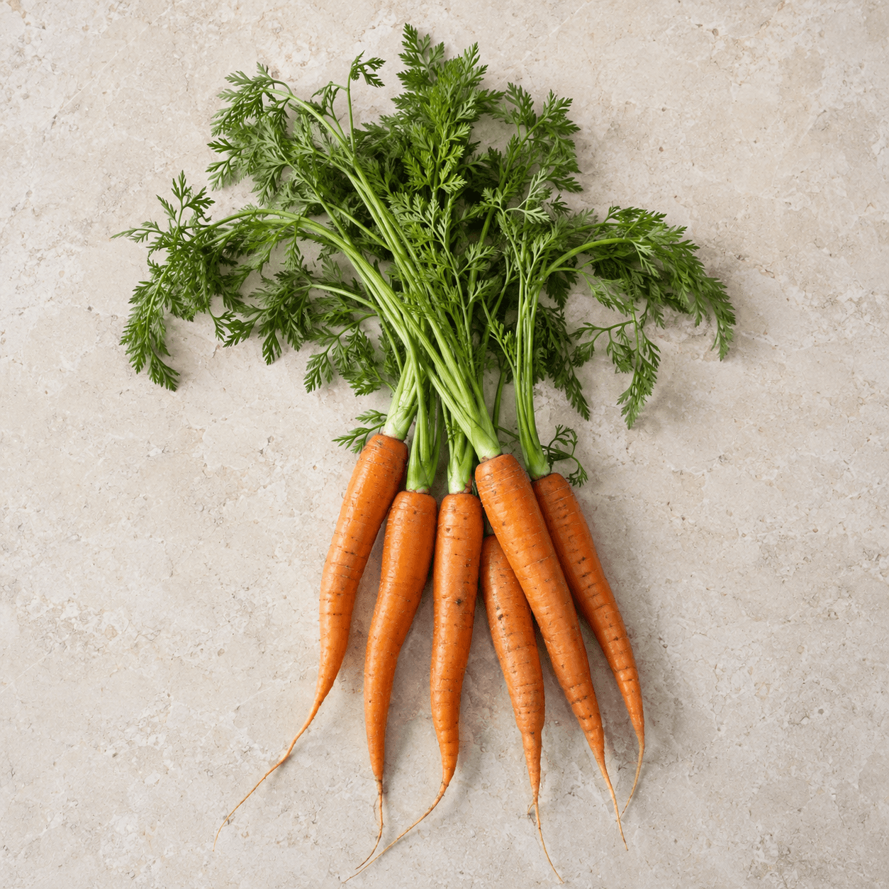Carrot