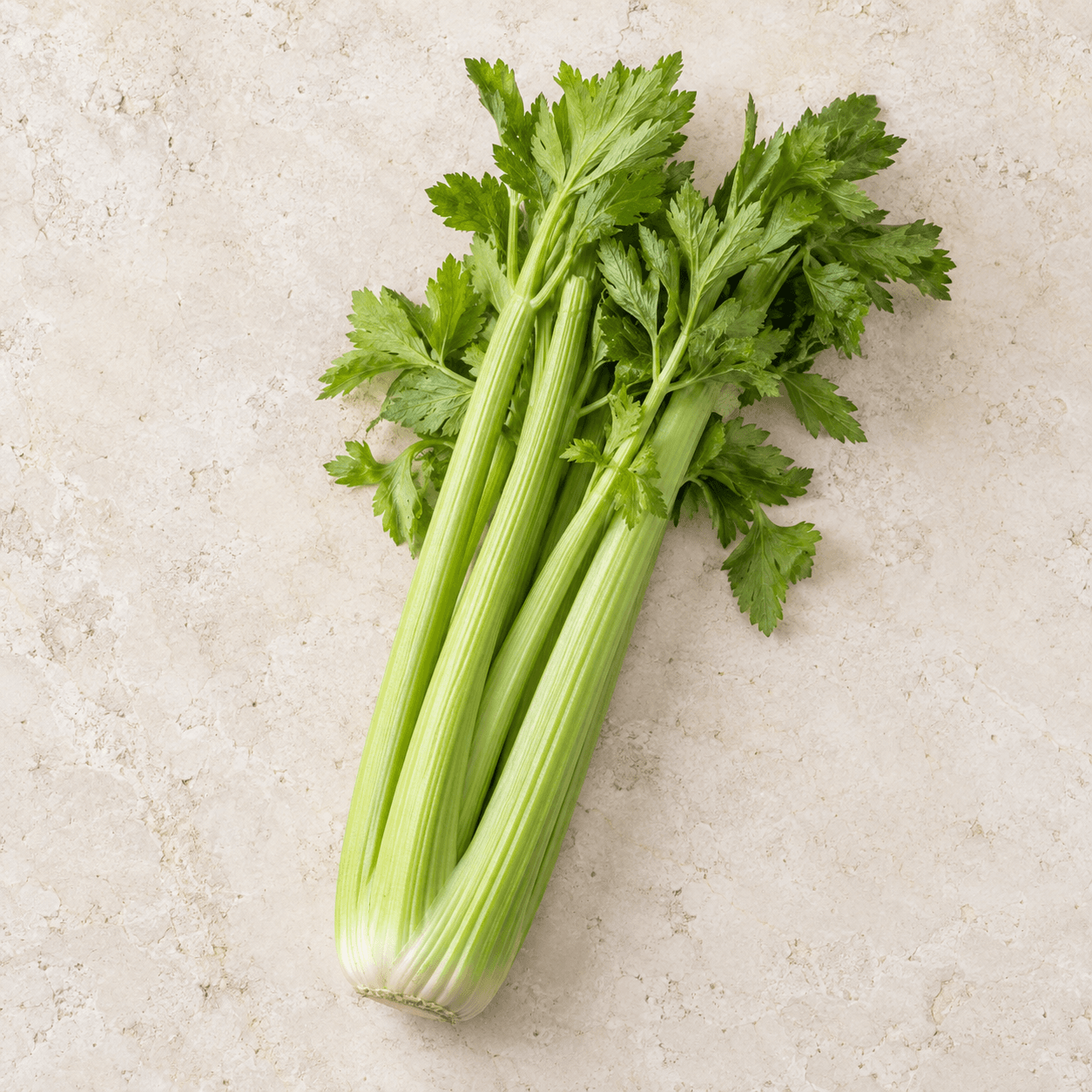 Celery