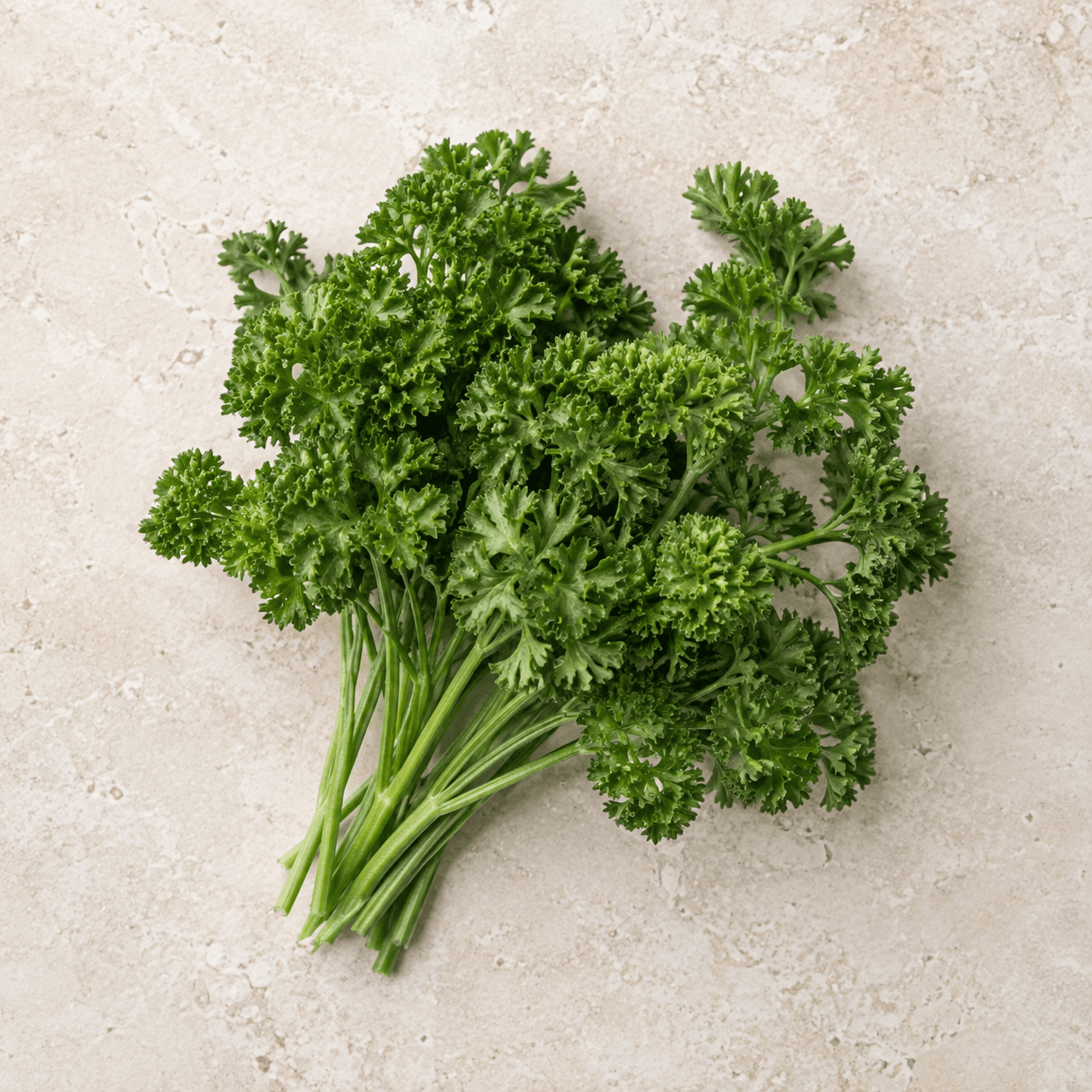 Curly parsley