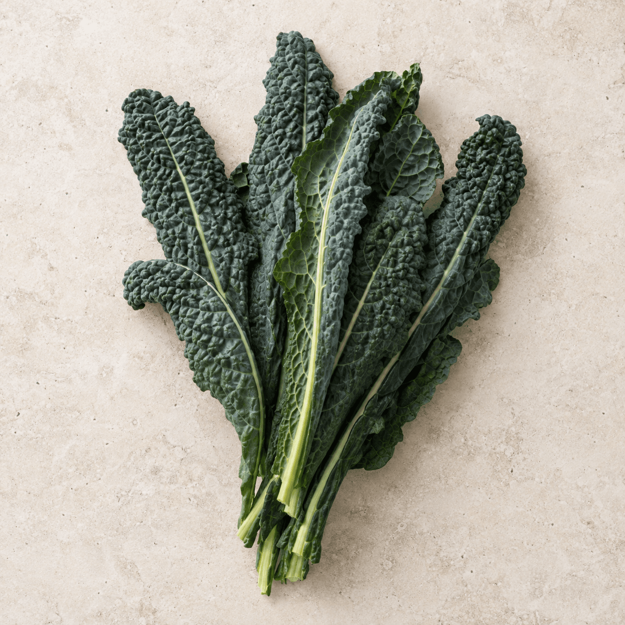 Lacinato kale