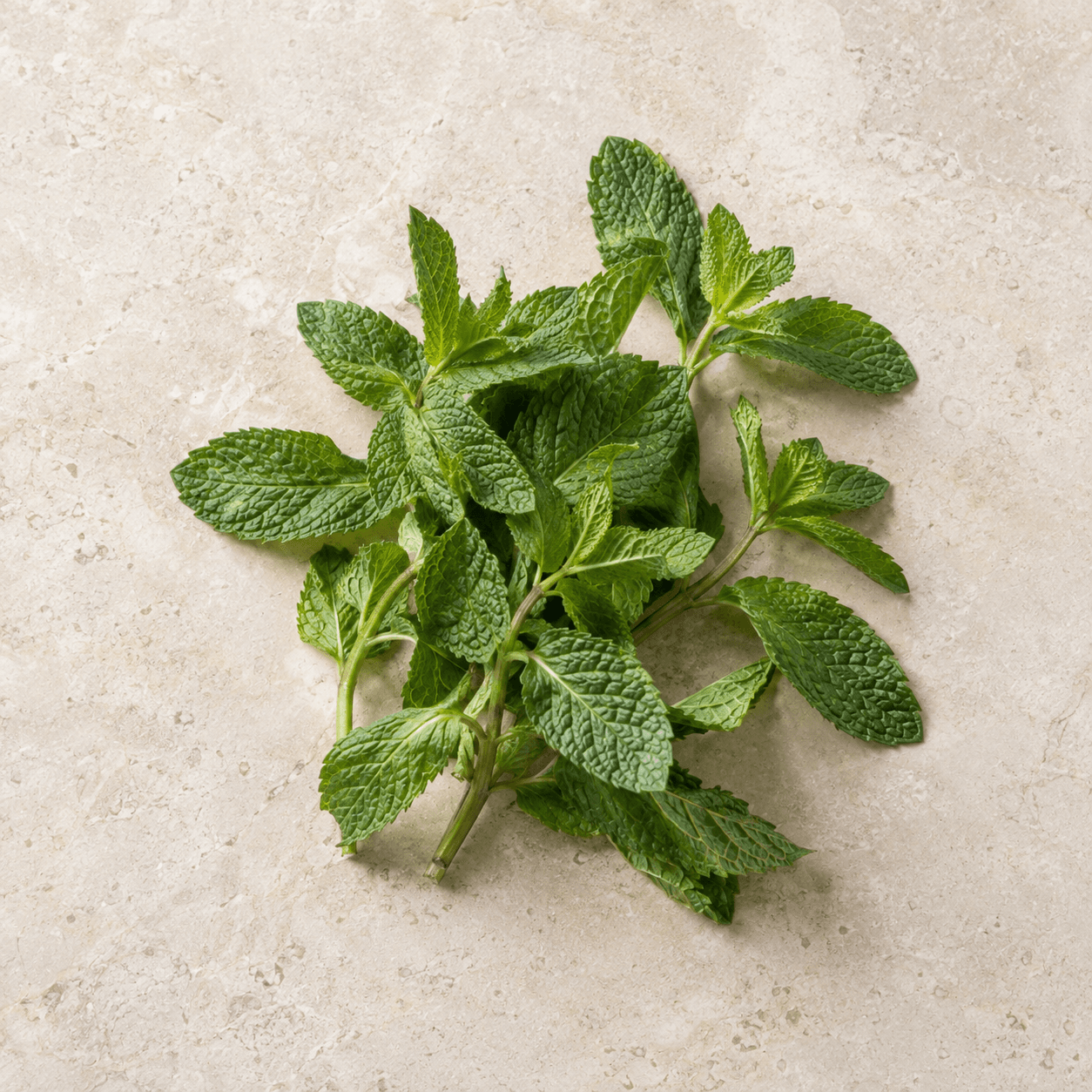 Mint