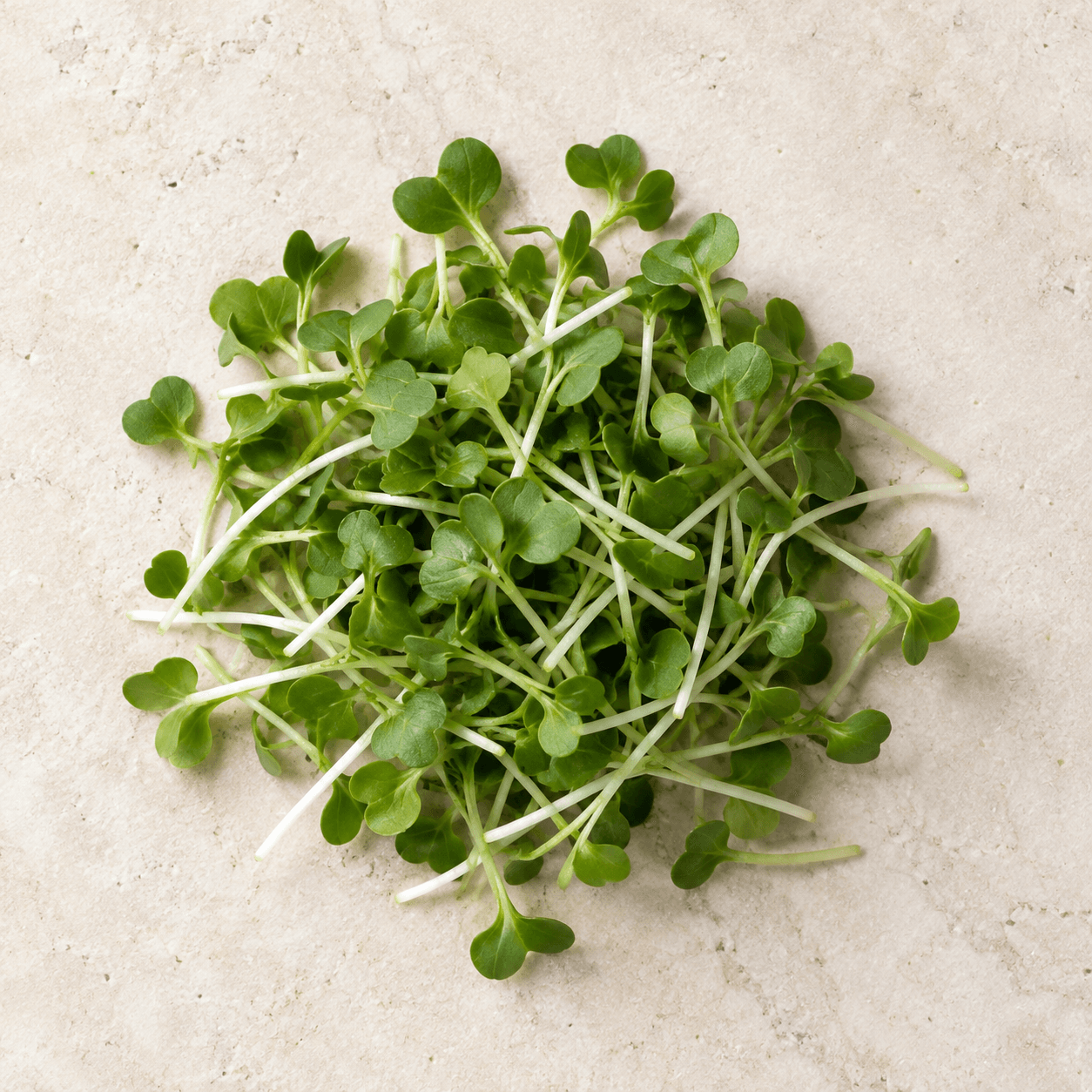 Mustard microgreens