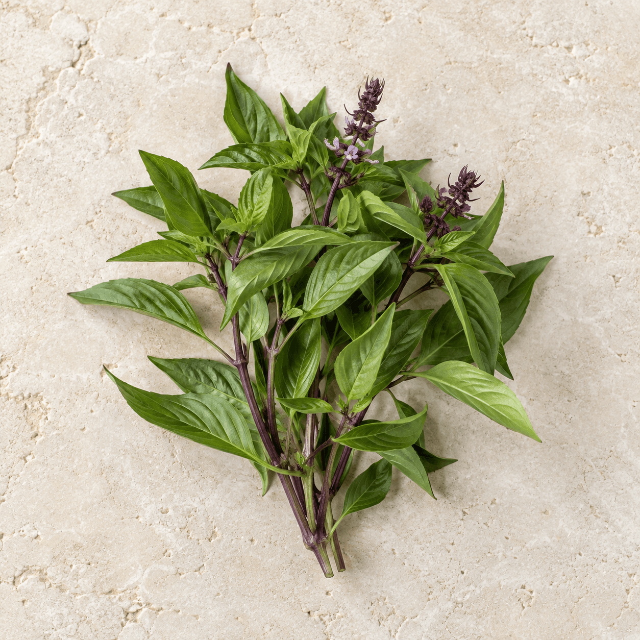 Thai basil
