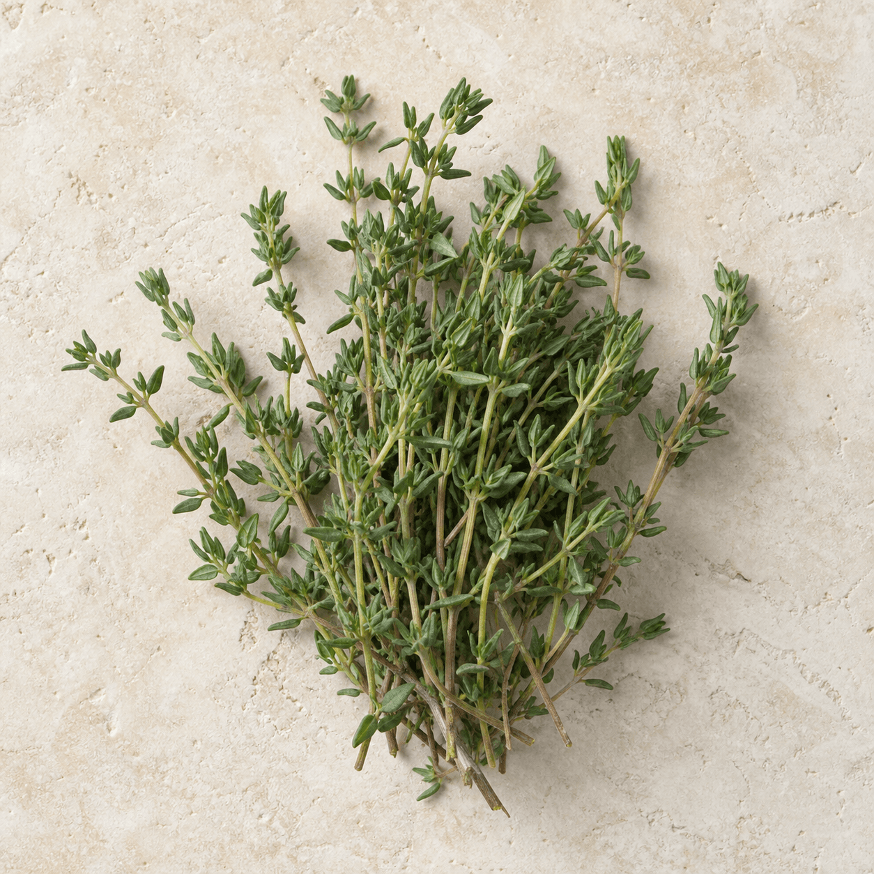 Thyme