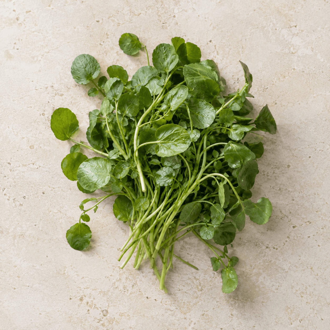 Watercress