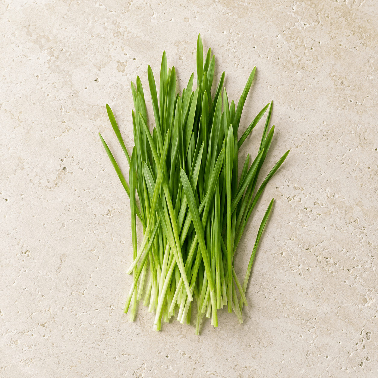 Wheatgrass
